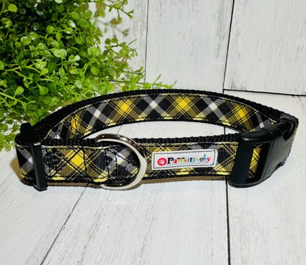 Hawkeyes Plain Pet Collar