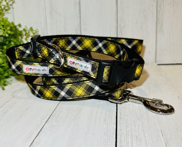 Hawkeyes Plain Pet Collar - Image 3