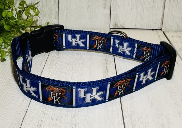 Kentucky Wildcats Pet Collar - Image 2