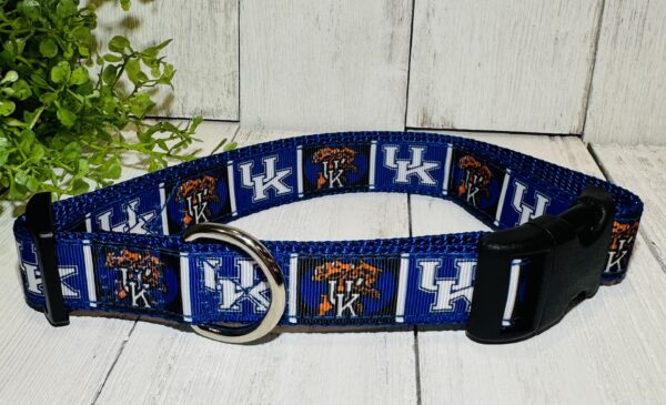 Kentucky Wildcats Pet Collar