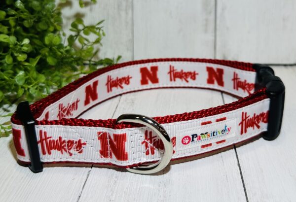 Nebraska Cornhusker White And Red Dog / Pet Collar