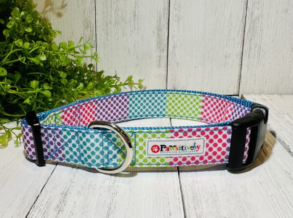 Polka Dot Dog / Pet Collar