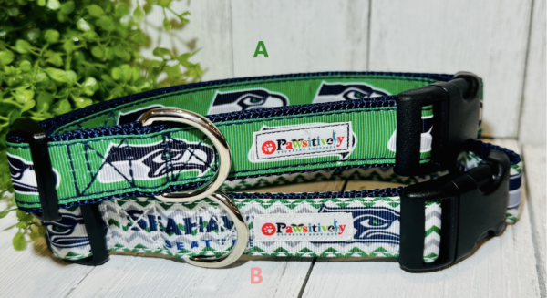 Seattle Seahawks Dog / Pet Collar