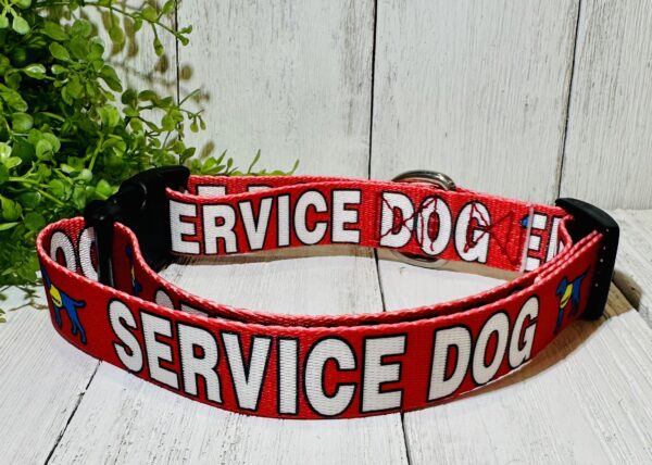 Service Dog Pet Collar - Image 2