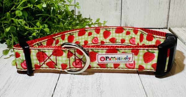 Strawberries Dog / Pet Collar