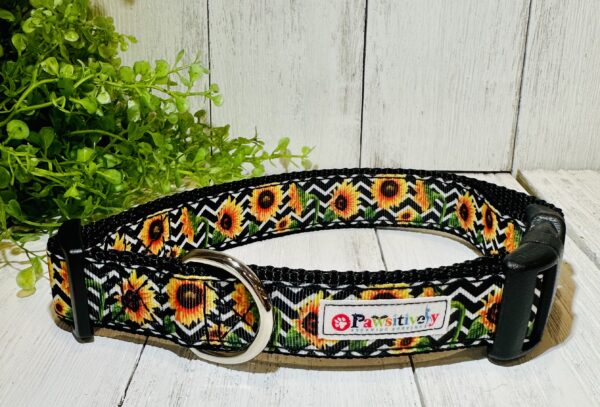 Sunflower Dog / Pet Collar