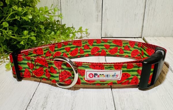 Watermelon Pet Collar