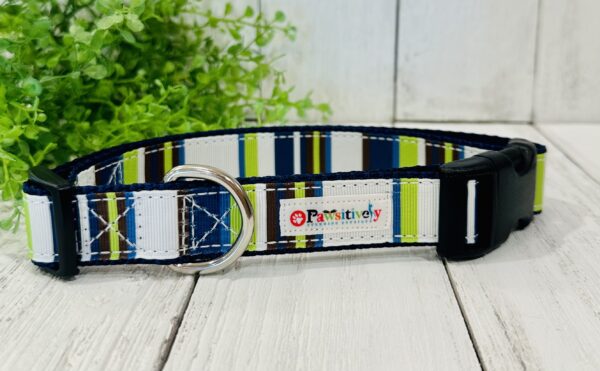 Navy & Lime Green Stripes Collar