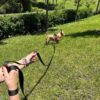 Tre Ponti Long Run 16.4' Training Leash - Image 8